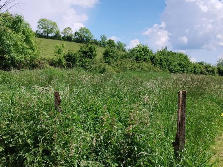21320 POUILLY EN AUXOIS - Terrain constructible 1202 m2 - Beaume commune de Créancey — photo 1