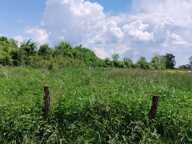 21320 POUILLY EN AUXOIS - Terrain constructible 1202 m2 - Beaume commune de Créancey — photo 3