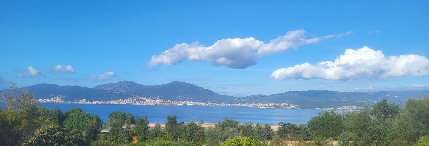 Maison 15 Pièces 519 m² à vendre à Albitreccia (20166)