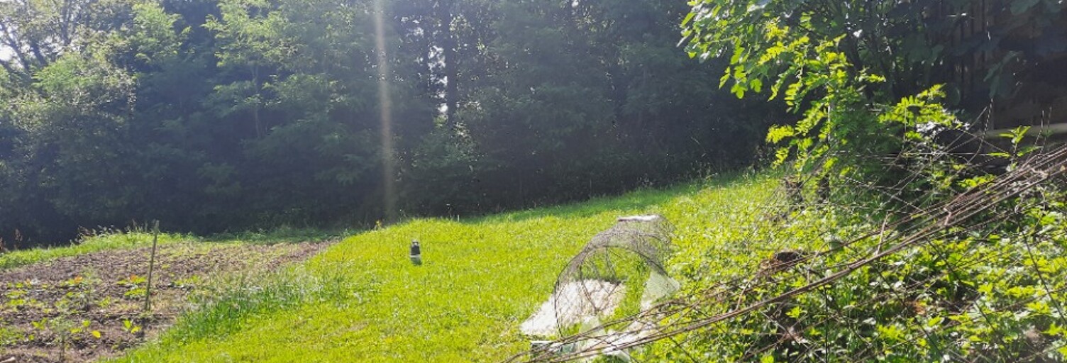 Terrain  680 m² à vendre à Créon (33670)