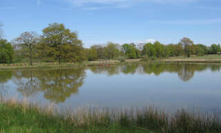 Terrain  6000 m² à vendre à Millac (86150)