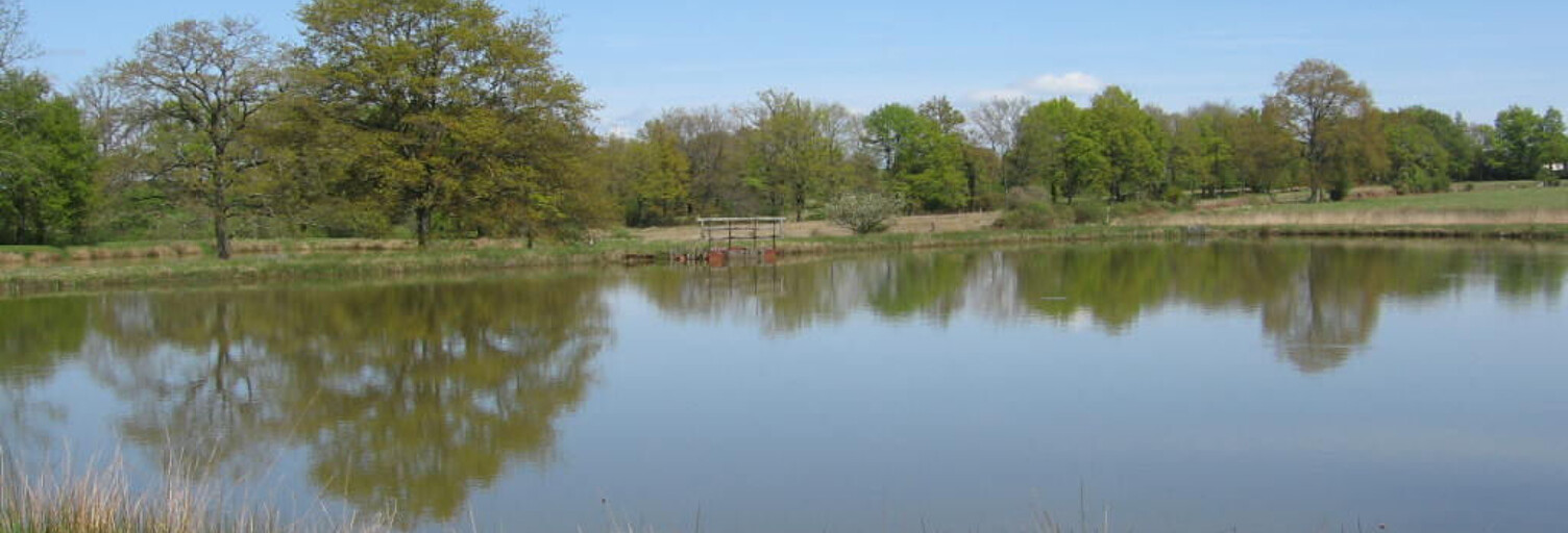 Terrain  6000 m² à vendre à Millac (86150)