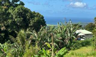 Terrain  942 m² à vendre à Sainte-Luce (97228)