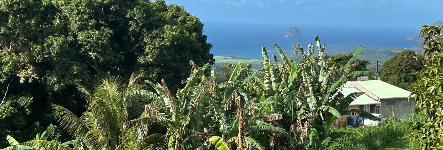 Terrain  942 m² à vendre à Sainte-Luce (97228)