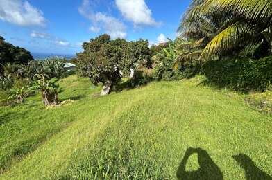 Terrain  150000 €