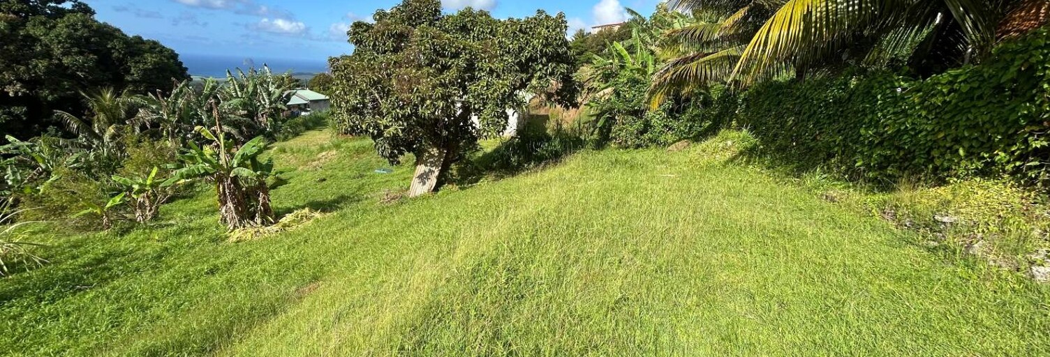 Terrain  942 m² à vendre à Sainte-Luce (97228)