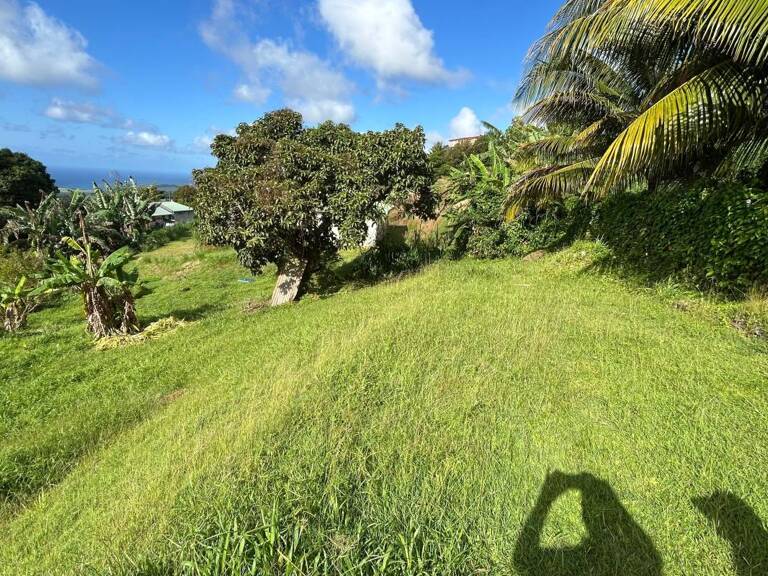 Terrain plat de 942 m² idéalement situé sur la commune de Sainte-Luce, dans un secteur recherché — photo 1