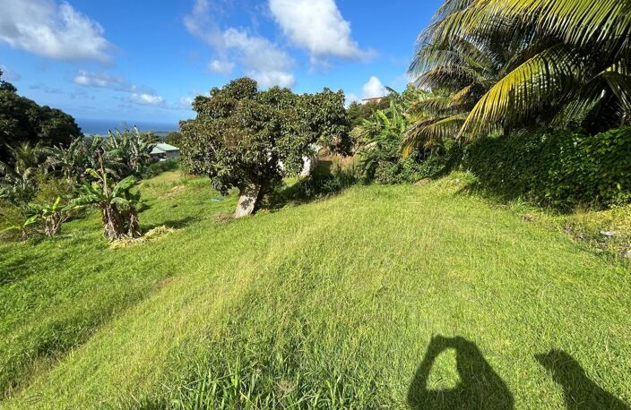 Terrain plat de 942 m² idéalement situé sur la commune de Sainte-Luce, dans un secteur recherché — photo 2