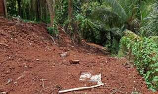 Terrain  3132 m² à vendre à Le Robert (97231)