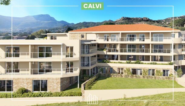 Appartement 3 pièces  à vendre Calvi 20260