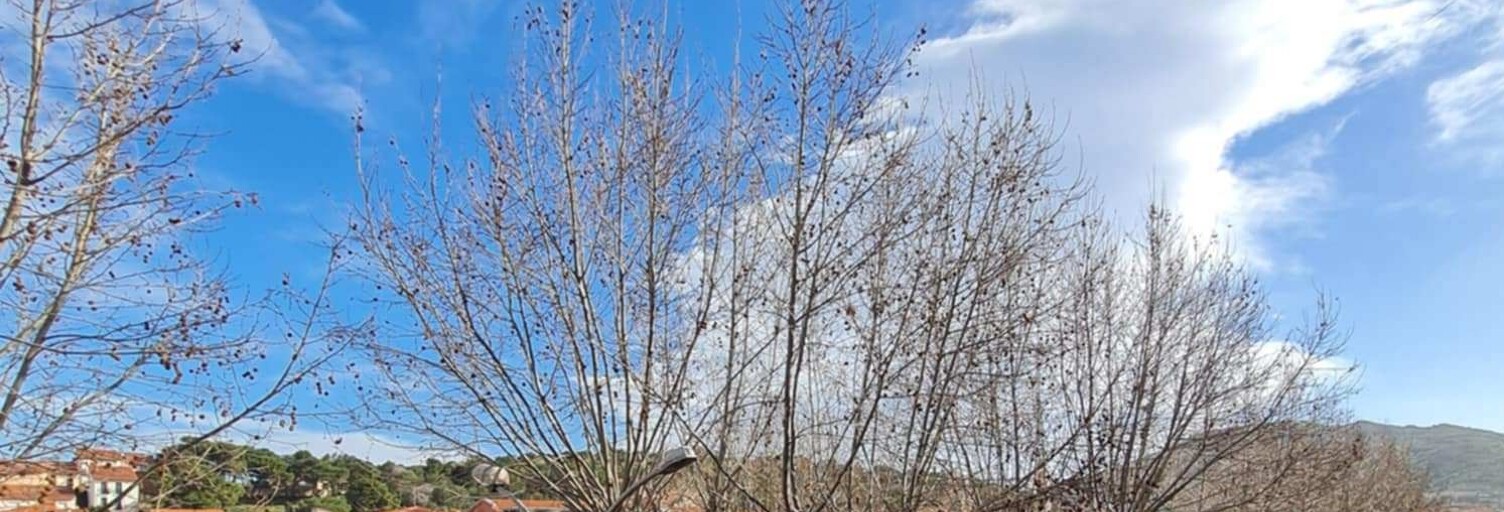 Maison 5 Pièces 117 m² à vendre à Port-Vendres (66660)