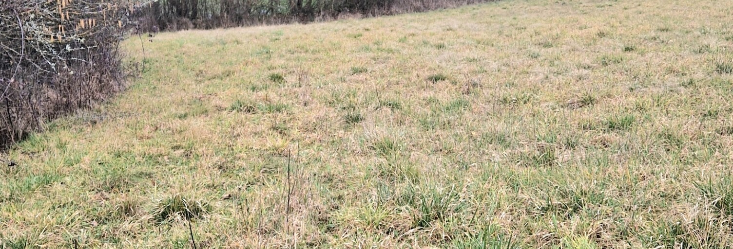 Terrain  2000 m² à vendre à Jugeals-Nazareth (19500)