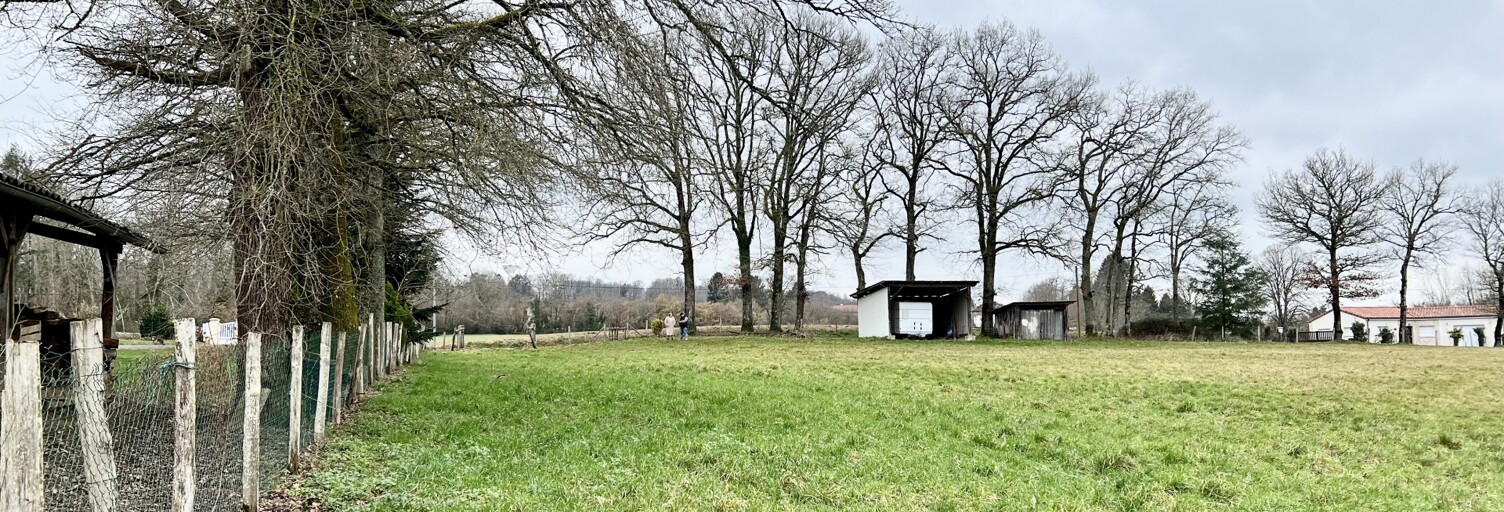 Terrain  4878 m² à vendre à Champsac (87230)