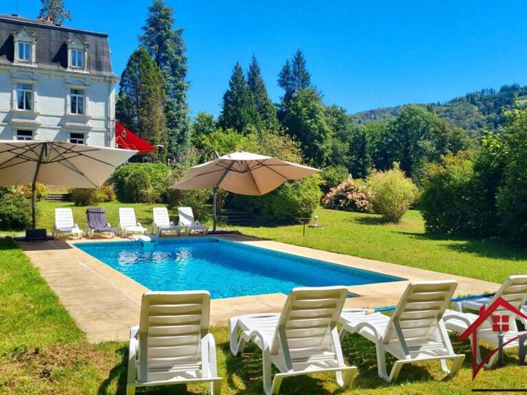 CHÂTEAU DE PRESTIGE AVEC PISCINE, PARC ARBORÉ ET RIVIERE — photo 1
