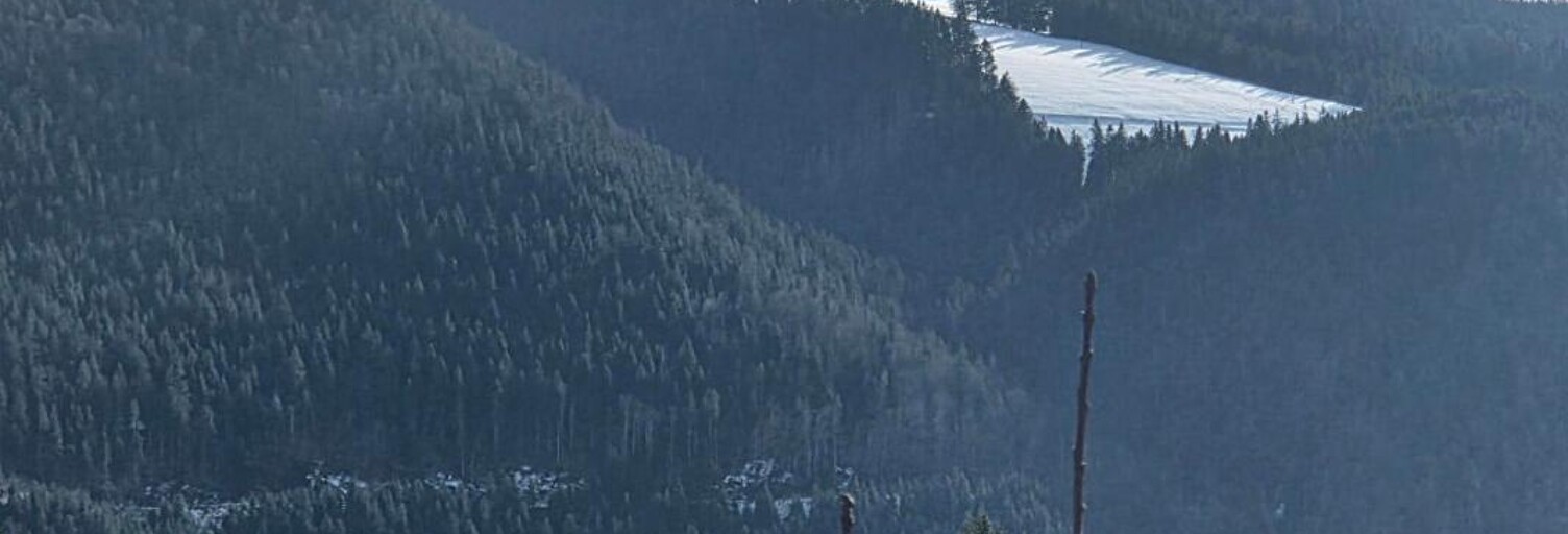 Maison 7 Pièces 147 m² à vendre à Villers-le-Lac (25130)