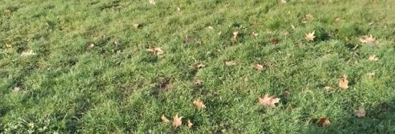 Maison 3 Pièces 80 m² à louer à Bernos-Beaulac (33430)