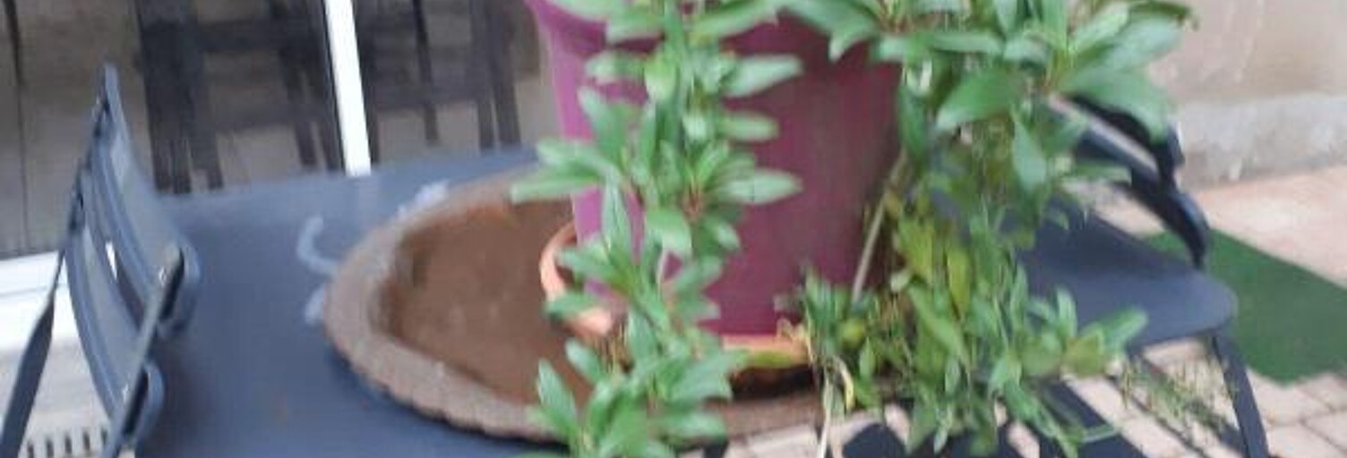 Maison 4 Pièces 80 m² à louer à Montchanin (71210)