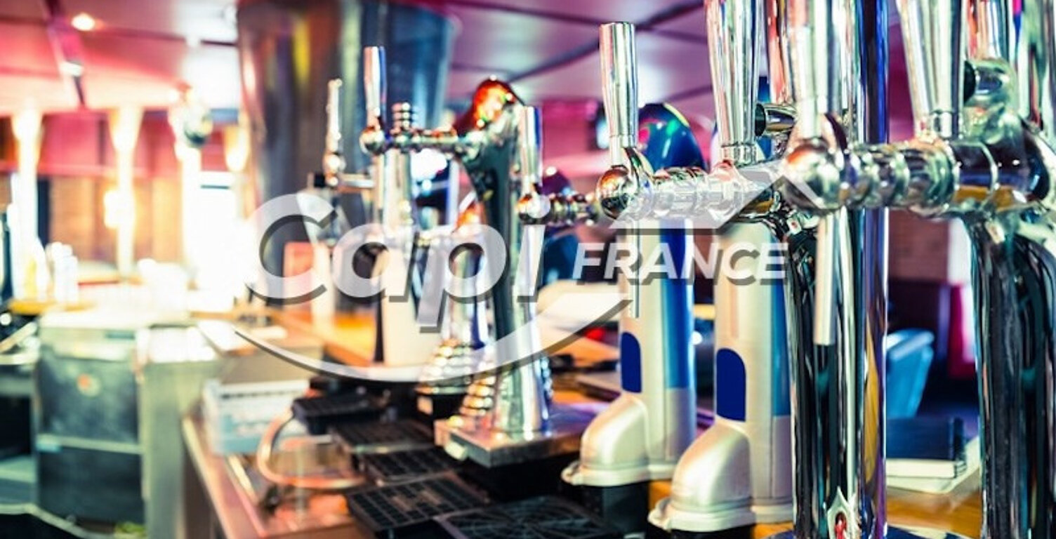 AIX LES BAINS (73), Restaurant BAR BRASSERIE CENTRE VILLE TERRASSE — photo 1