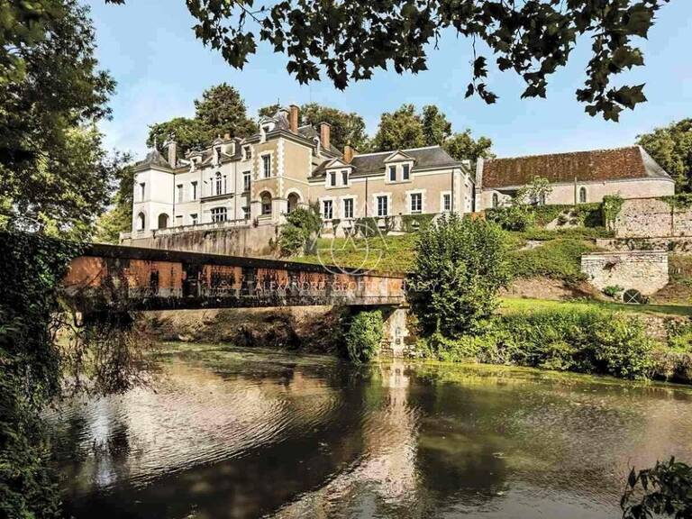 Superbe Château du XIXe avec 1km de rivière, rénové à 10min de Blois sur 22ha-possibilité d'acheter 63ha au total — photo 1