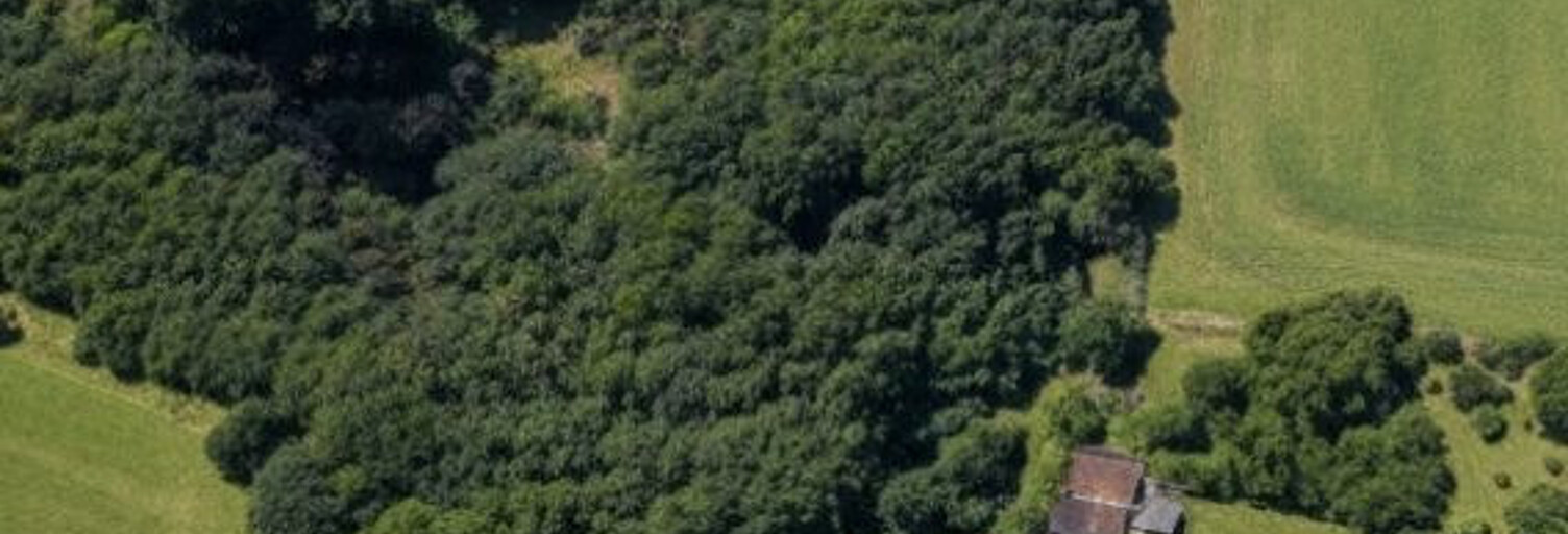 Maison 8 Pièces 240 m² à vendre à Écommoy (72220)