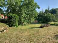 Terrain — photo 2