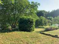 Terrain — photo 4