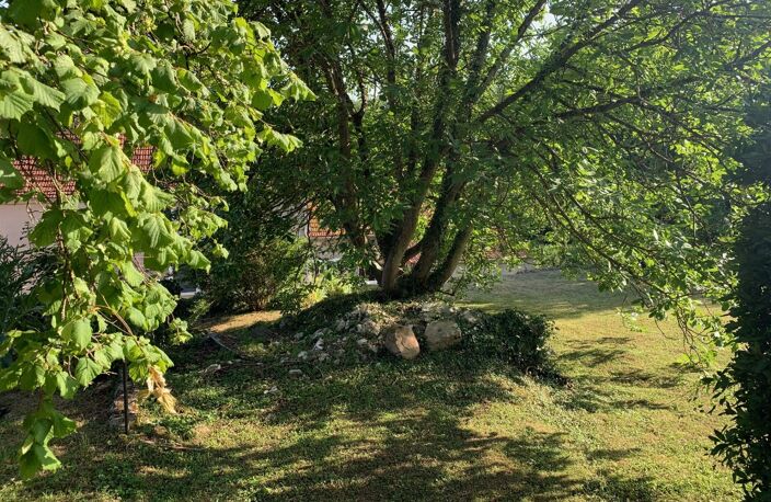 Terrain — photo 5