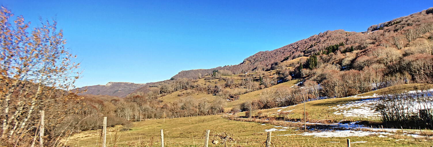 Maison 2 Pièces 314 m² à vendre à Compains (63610)