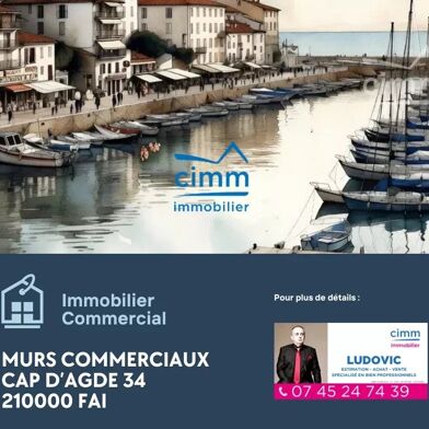 Commerce 2 pièces 210000 €