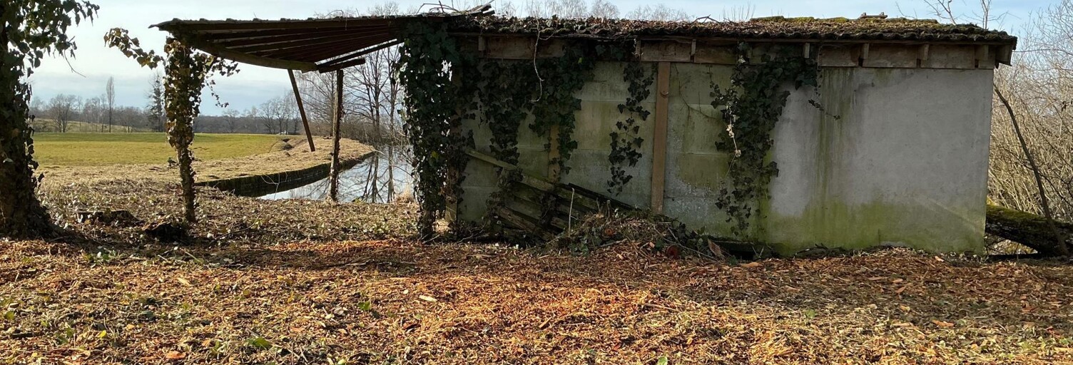 Terrain  22000 m² à vendre à Magnivray (70300)