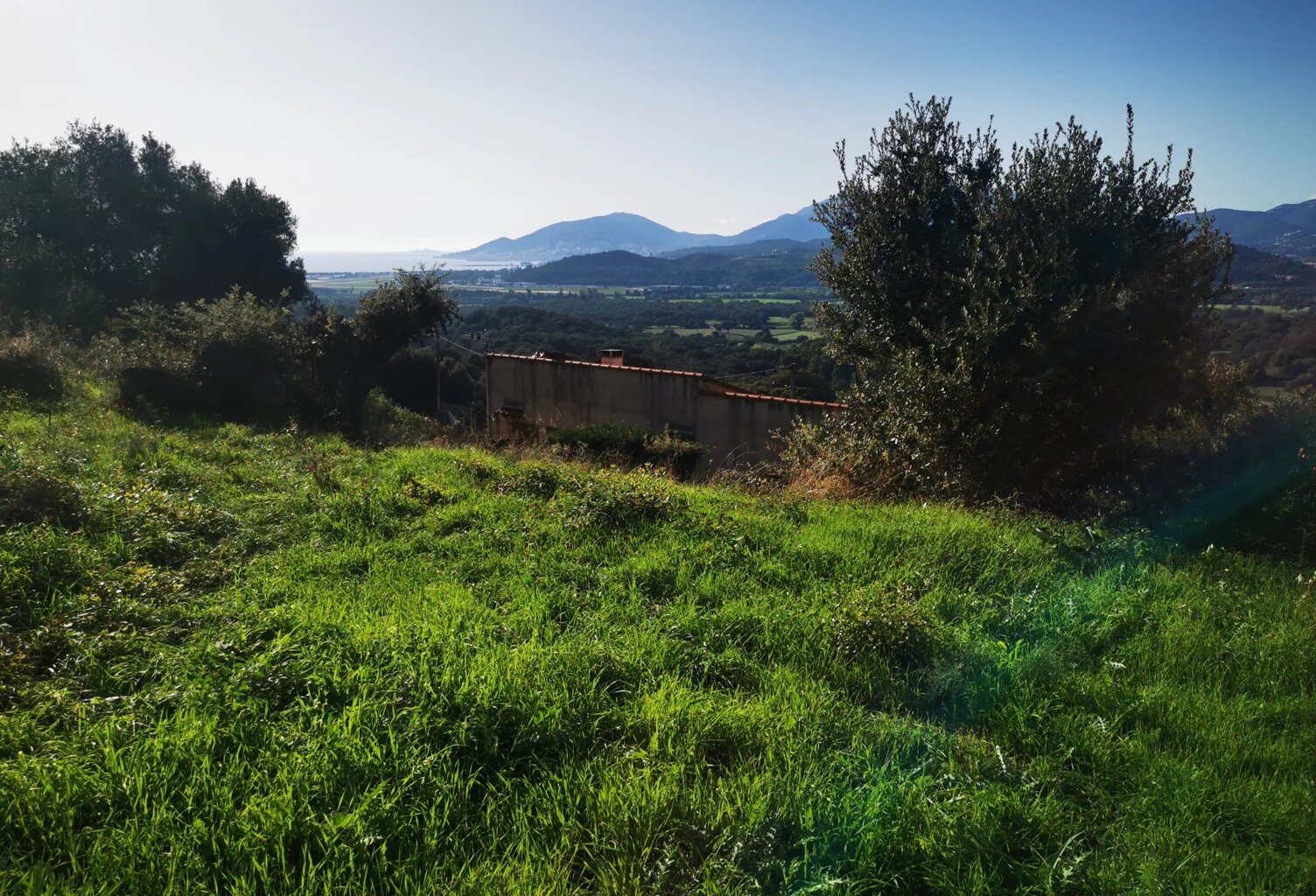 Vente terrain  1976 m² Bastelicaccia (20129) — photo 1