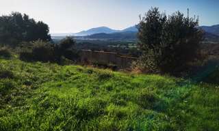 Terrain  1976 m² à vendre à Bastelicaccia (20129)