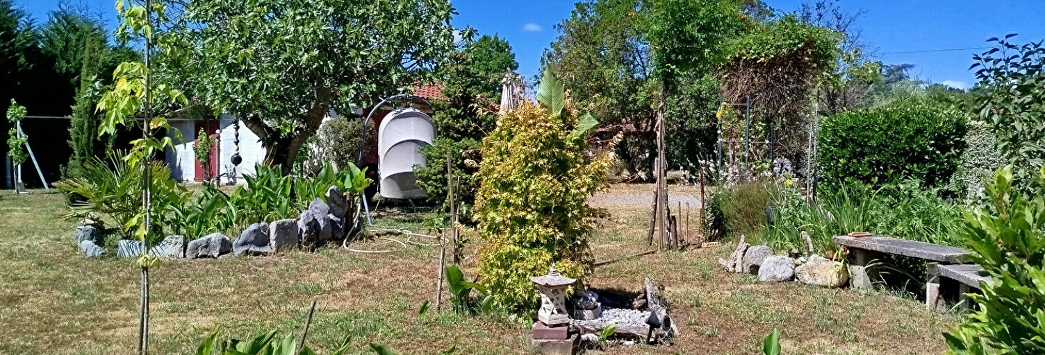 Photo N° 2