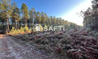 Terrain  10400 m² à vendre à Saint-Léger-de-Balson (33113)