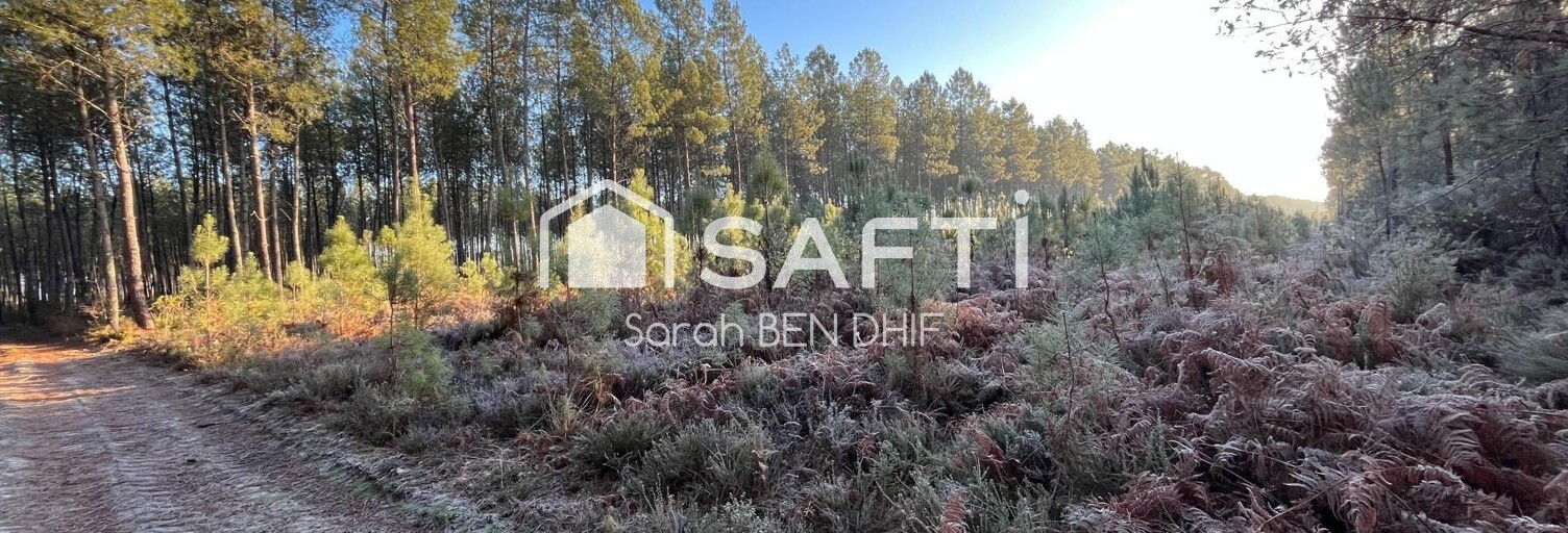 Terrain  10400 m² à vendre à Saint-Léger-de-Balson (33113)