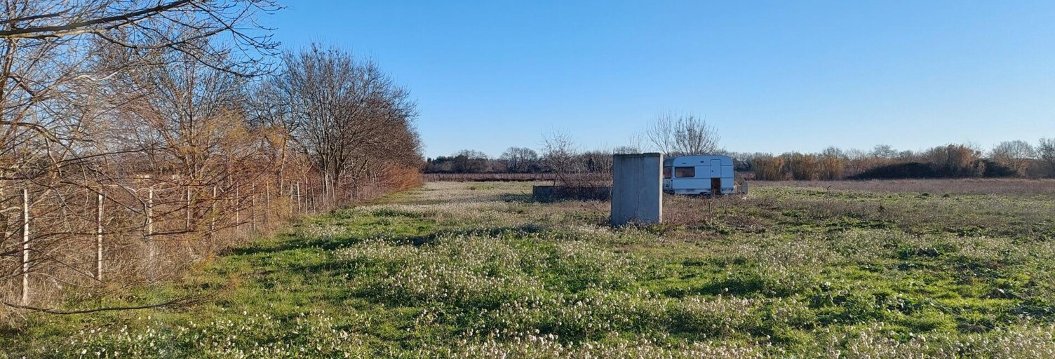 Terrain  8750 m² à vendre à Le Cailar (30740)