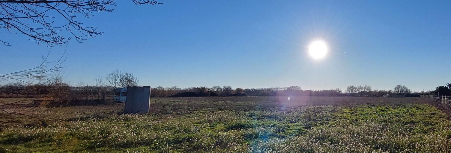 Terrain  8750 m² à vendre à Le Cailar (30740)
