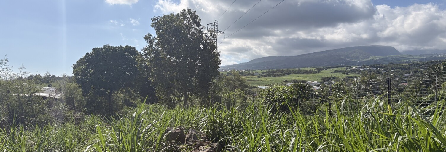 Terrain  300 m² à vendre à Saint-Louis (97421)