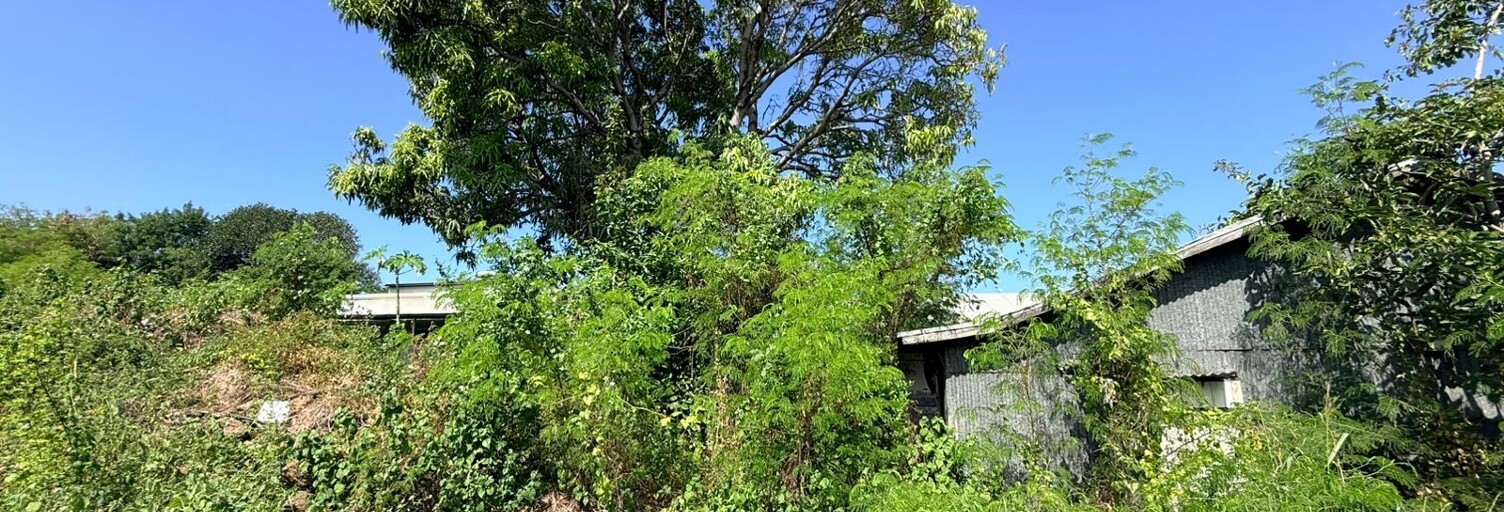 Terrain  300 m² à vendre à Saint-Louis (97421)