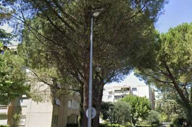 Appartement 5 pièces 313500 €