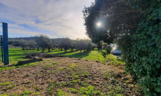 Terrain  1124 m² à vendre à Quissac (30260)