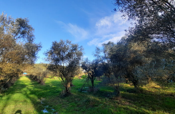 A VENDRE - TERRAIN à BATIR - QUISSAC — photo 2