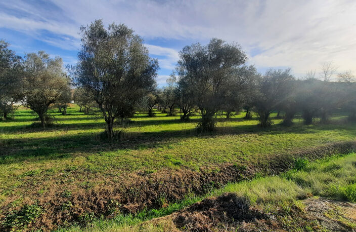 A VENDRE - TERRAIN à BATIR - QUISSAC — photo 3