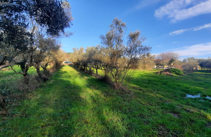A VENDRE - TERRAIN à BATIR - QUISSAC — photo 4