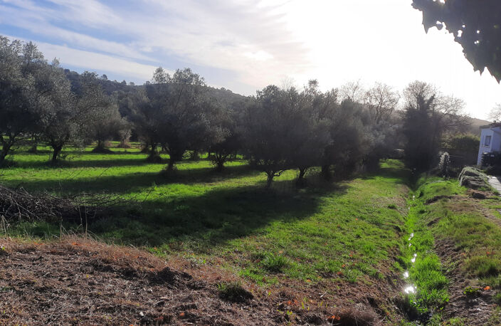 A VENDRE - TERRAIN à BATIR - QUISSAC — photo 5