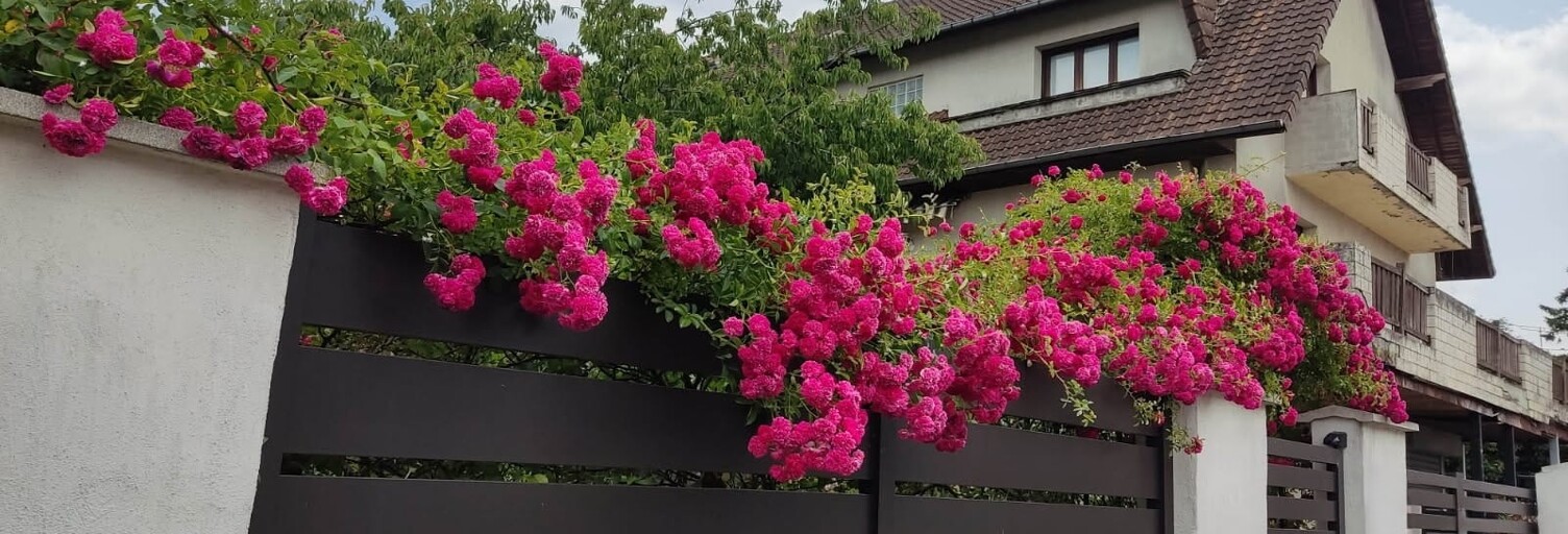 Maison 8 Pièces 192 m² à vendre à Grigny (91350)