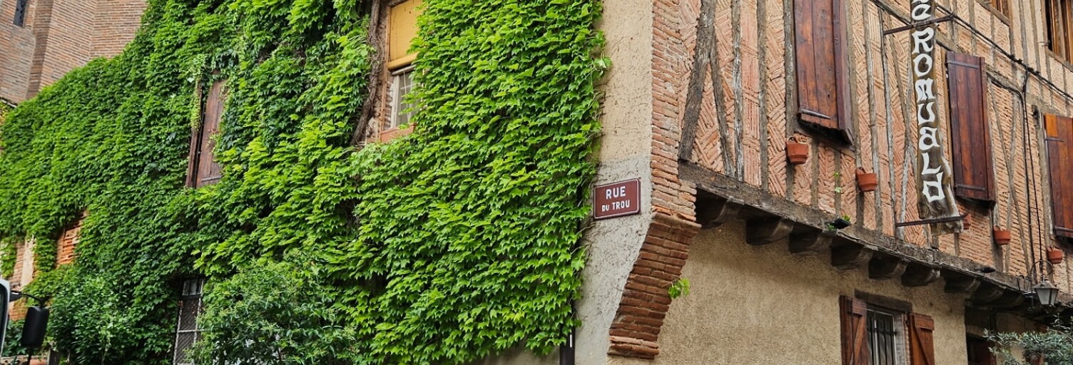 Immeuble  318 m² à vendre à Lisle-sur-Tarn (81310)