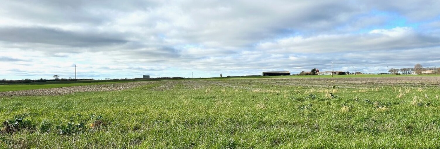 Terrain  298 m² à vendre à Angliers (17540)