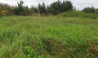 Terrain  1050 m² à vendre à Gauriaguet (33240)