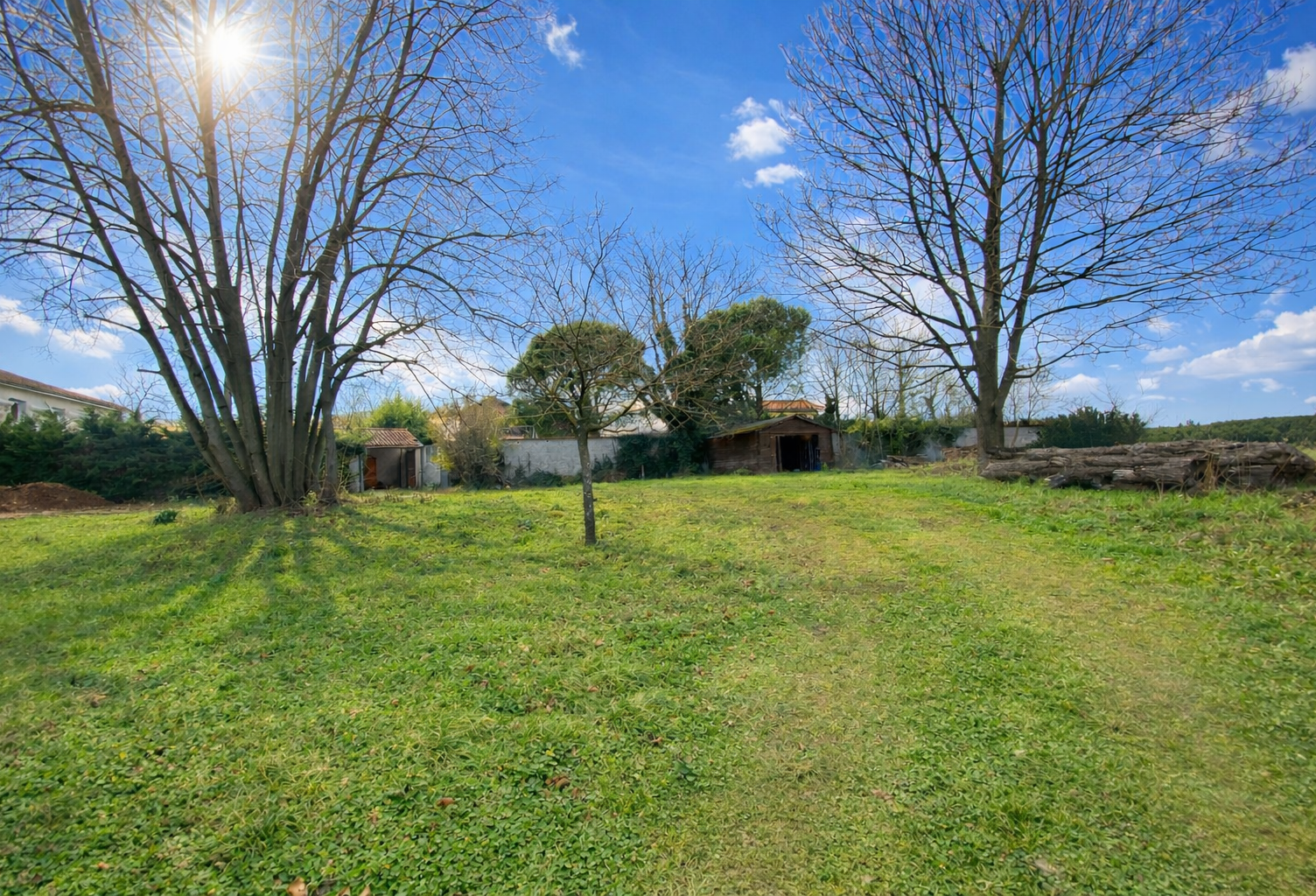 NOUVEAUTÉ PRINTEMPS 2026 - BEAU TERRAIN PLAT ET ARBORE DANS — photo 1